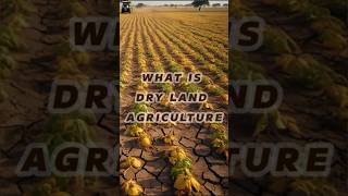 What is dry land agriculture agriadda247 deepayan28 shorts [upl. by Erkan]