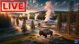 🌎 LIVE Yellowstone National Park  Old Faithful  Relaxing Music [upl. by Tnarg172]