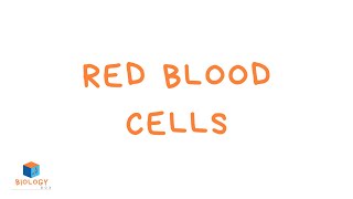 Red Blood Cells KS3 Specialised Cells  Red Blood Cell Adaptations [upl. by Nylednarb]