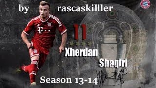 Xherdan Shaqiri ► Skills amp Goals  2014 HD [upl. by Eniroc31]