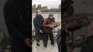 Salmon Fishing On The Satsop River [upl. by Lonni]