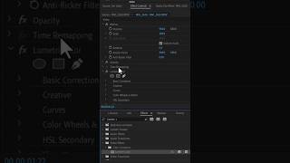 How To Fix Overexposed video In Premiere pro premierepro [upl. by Ready522]