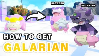 Where to get Galarica Twigs for Galarian Slowbro amp Slowking ► Pokemon Scarlet amp Violet [upl. by Nauqaj]