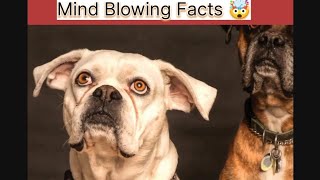 Mind Blowing Facts 😨TS Factonomy facts mindblowingfacts viralvideo [upl. by Rycca]