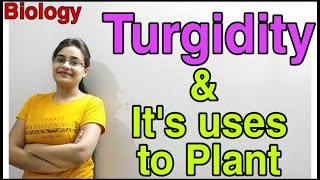 DG Pathshala Turgidity Uses of Turgidity to Plants Absorption by RootsTopic for Class10 Bio [upl. by Haroun700]