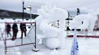 Aerial Video Stillwater Minnesota 2023 World Snow Sculpting Championship wssc [upl. by Dolloff871]