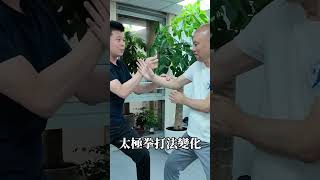 太極拳打法變化 taichi kungfu martialarts taichiclass [upl. by Hanah]