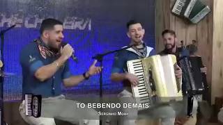 Tchê Chaleira  Tô Bebendo Demais 🎹🎶 [upl. by Adnhoj]