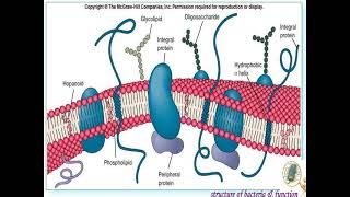 bacteria cell structure chemoautotrophy photo autotrophy lecture agriculture microbiology [upl. by Ace]