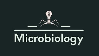 tut 1 micro Rickettsia and coxsilla p2 [upl. by Boulanger]