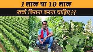 खर्चेलू खेती और सस्ती खेती का हिसाब  Jugaad vs High Budget Farming  Indian Farmer [upl. by Rehtae]