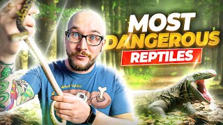 The 5 Most Dangerous Reptiles In The World [upl. by Edi8]