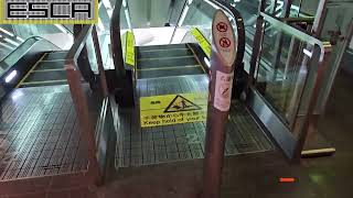 HND 羽田空港第１ターミナル エスカレーター 2F1F hanedaairport terminal3 Escalator [upl. by Sousa755]