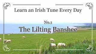 001 The Lilting Banshee Double Jig A Dorian Learn an Irish Tune Every Day [upl. by Eirek]