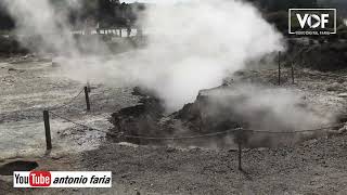 Vamos Almoçar um cozido das Furnas na Ilha São Miguel [upl. by Alleciram]