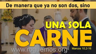 La sagrada unión Reflexión sobre el matrimonio y la familia en el plan de Dios  Marcos 10216 [upl. by Gnem]