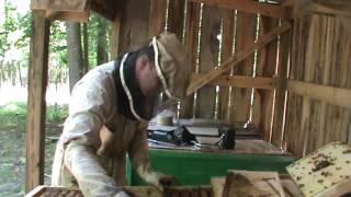 Working a horizontal Langstroth hive [upl. by Nirret]