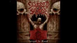 Severed Savior  Forced To Bleed [upl. by Yahsel]