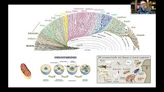 Bioenergetics and Brain Health 1 Evolutionary Perspective and Overview of Brain Energy Metabolism [upl. by Stier]