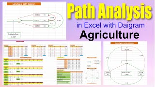 Path Analysis  Path Analysis in Genetics  Complete Guide with Examples and Excel Tutorial  Agri [upl. by Reinhart]