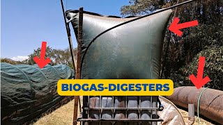 Watch BioGas Digesters Create Clean Cooking Fuel from Organic Waste [upl. by Weisberg59]