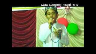 Madhu Song Rariroo Rarariroo ByArshaq Panoor YouTube [upl. by Nolasba495]