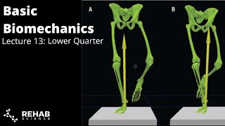 Biomechanics Lecture 13 Lower Quarter Functional Biomechanics [upl. by Struve]