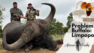 Hunting Problem Buffalo Africa Sun Safaris [upl. by Ahsenra]