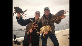 LIVE Dungeness Crabs [upl. by Melise]