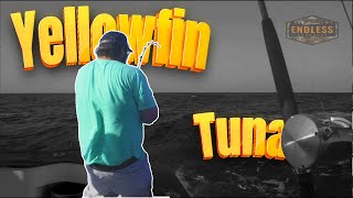 Yellowfin Tuna Fishing Ocean City Maryland [upl. by Aicemed]