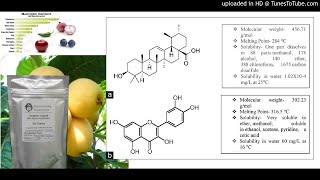 Ursolic acid and quercetin Promising anticancer phytochemicals with antimetastatic and antiangiogen [upl. by Chaker]