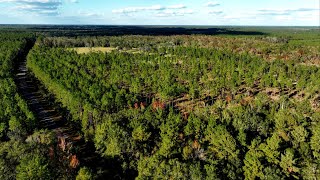 Lost Island Lodge  255± Acres in Echols County GA [upl. by Waechter]