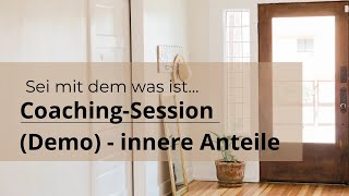 Sei mit dem was ist Demo CoachingSession [upl. by Jarl454]