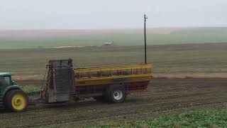 BEET HARVEST 2024 [upl. by Enrico]