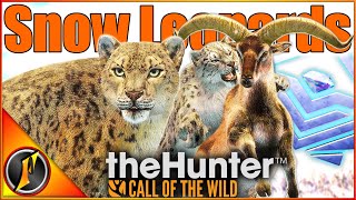 Hunting Snow Leopards By NOT Hunting Snow Leopards  Call of the Wild [upl. by Dulcle]