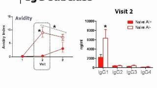 The Immunology of OilinWater Adjuvants for Influenza Vaccines [upl. by Leler]