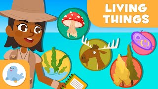 The Classification of Living Things 🦠 🐰 5 ANIMAL KINGDOMS 🌱 Science for Kids [upl. by Llirpa]