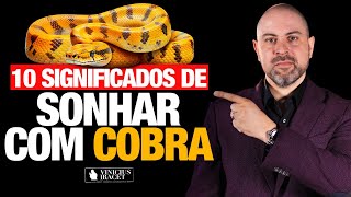 10 Significados de Sonhar com Cobra  Descubra os planos do mal e desfaça em nome de Jesus [upl. by Chevalier]