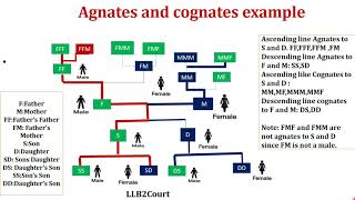 EnglishAgnates and cognates  Hindu Succession Act1956 [upl. by Annawyt]