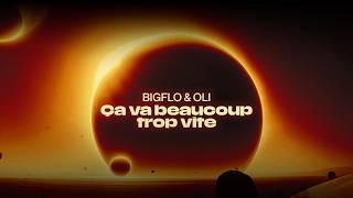 Bigflo amp Oli  Ça va beaucoup trop vite Clip IA [upl. by Sirah]