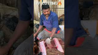 Seer fish cuttingfishcuttingskill greenfish youtubeshorts greenscreen [upl. by Swane]