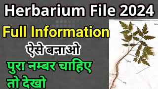 Herbarium File 2024  Herbarium project  Diy Herbarium File 🔥🔥 [upl. by Hardner]