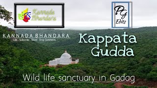 Gadag Kappata Gudda wild life sanctuary in Gadag herbalplace forest kannadabhandara kbexplorer [upl. by Peedus723]