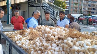 TAŞKÖPRÜ SARIMSAK PAZARI SARIMSAK FİYATLARI [upl. by Nyrek]