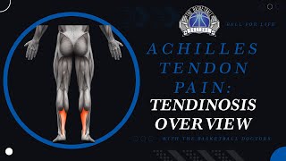 Achilles TendinopathyTendinosis Overview [upl. by Reyem336]