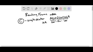 Why does a singlebase deletion mutation within a proteincoding sequence usually have a more sever… [upl. by Waller223]