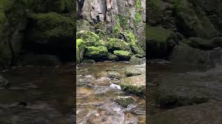 Waterfall Stainforth [upl. by Brabazon]