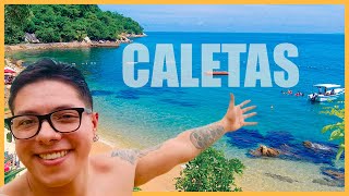 TOUR LAS CALETAS PUERTO VALLARTA  LOBO VIAJERO [upl. by Lurleen]