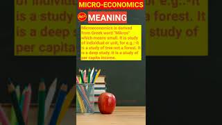 Micro economics  Meaning of Micro Economics  Microeconomics Study commerce  12th  Fy and Sy jc [upl. by Aitnic]