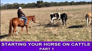 CAMPDRAFT TRAINING I Starting Your Horse on Cattle  Part 1 [upl. by Yetak]